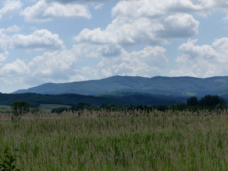 A Mátra panorámája a 23-as útról