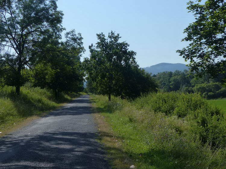 Nulla forgalmú mellékúton Bózsva felé