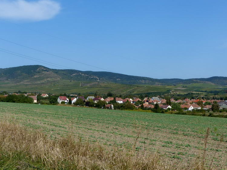 Tolcsva látképe a dombokról