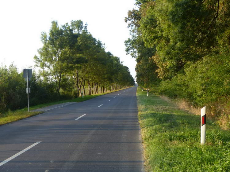 Napkelte után a tarpai országúton