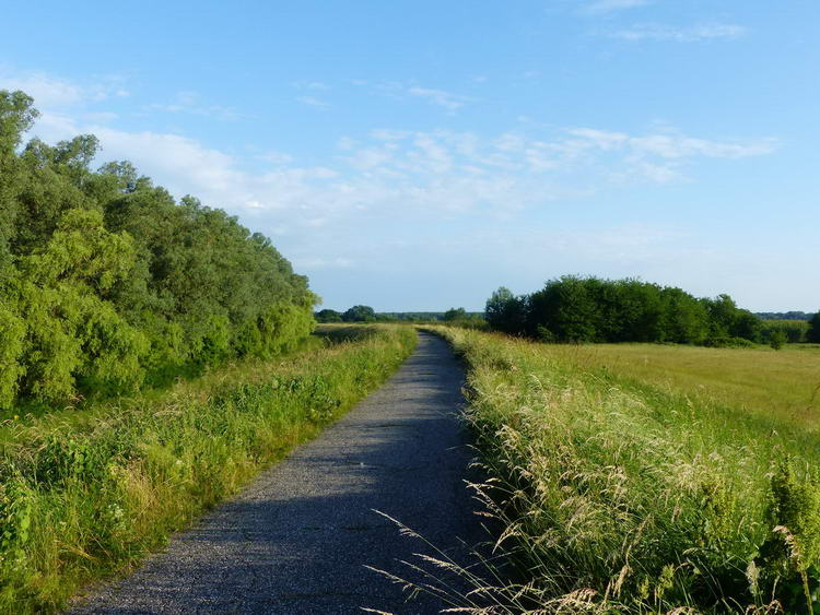 Kora reggeli tekerés a Tisza-gáton