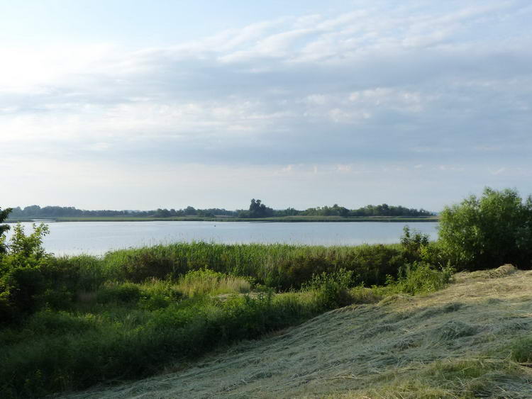 Ritkán nyílt csak kilátás a gátról a Tisza-tóra