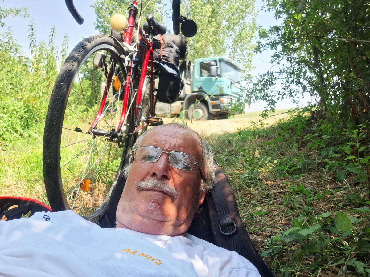 Pihenő a bokrok árnyékában Pihenő a bokrok árnyékában