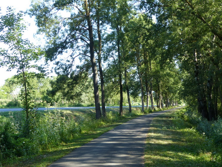 Kerékpárúton Harkány felé