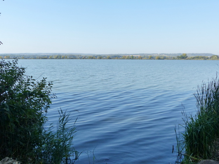 Kányavári-sziget - A Kis-Balaton a Kányavári-szigetről nézve