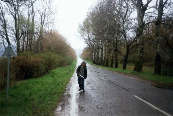 Esőben a csókakői bekötőúton