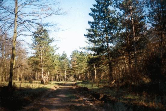 A Pap-völgyben 1. A Pap-völgyben 1.