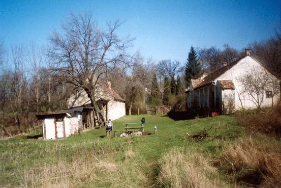 Pihenő Mindszentpusztán