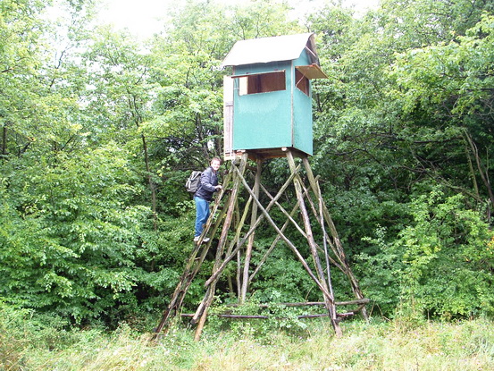 Pihenő egy fedett magaslesen Pihenő egy fedett magaslesen