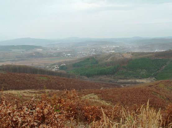 A Kőerdő-tető irtásfoltja