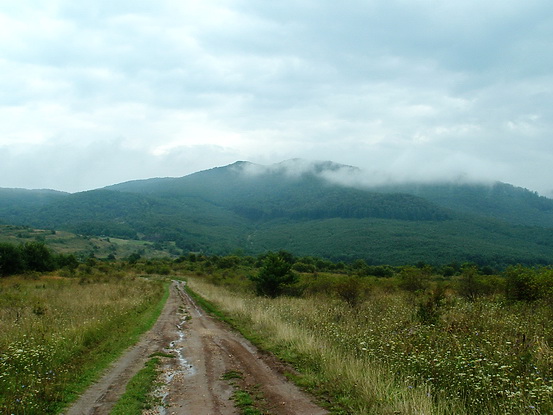 A hegyek látképe a Regéc feletti mezőről