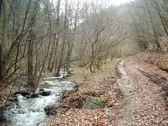 A bővízű Ménes-patak mellett haladt a földút