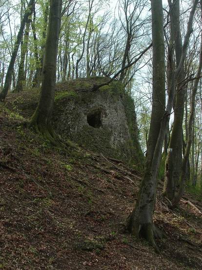 Hölgykő várának szerény romjai