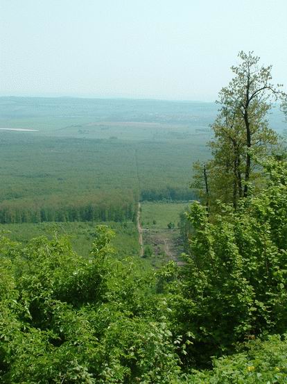 Kilátás a Kab-hegyről Nagyvázsony felé
