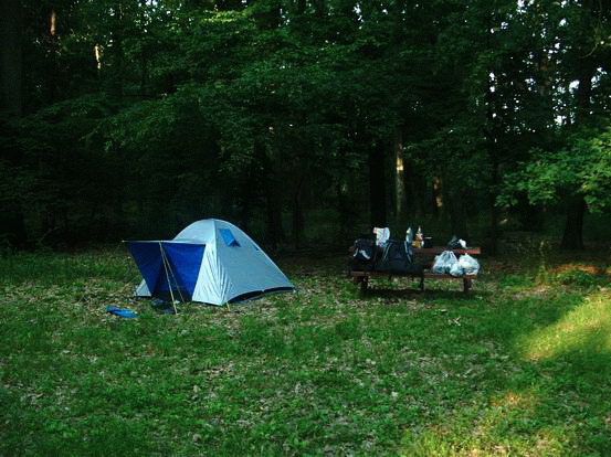 Reggeli készülődés sátorbontás előtt a Banya-fák tisztásán