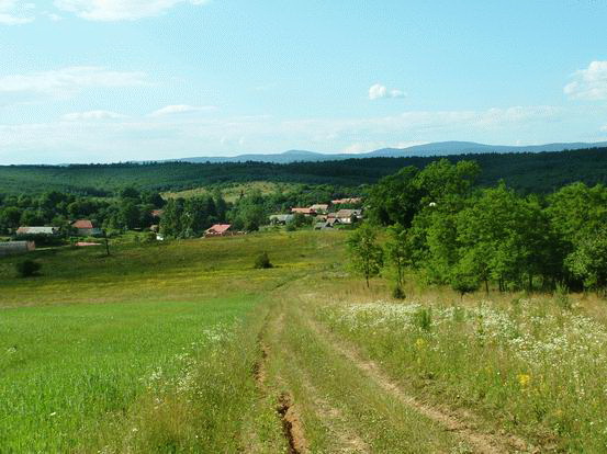 Visszapillantás Tornabarakonyra a domboldalból Visszapillantás Tornabarakonyra a domboldalból