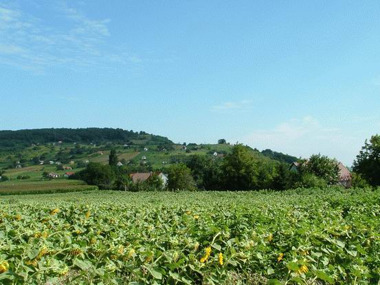 Feltűnt előttünk a Kő orra