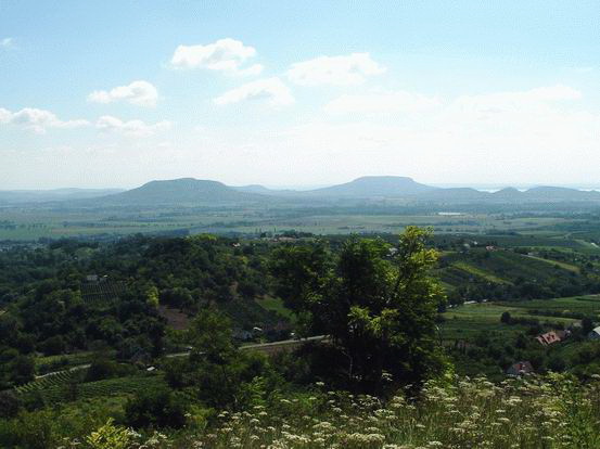 Kilátás a Kő orra válláról a Tapolcai-medencére