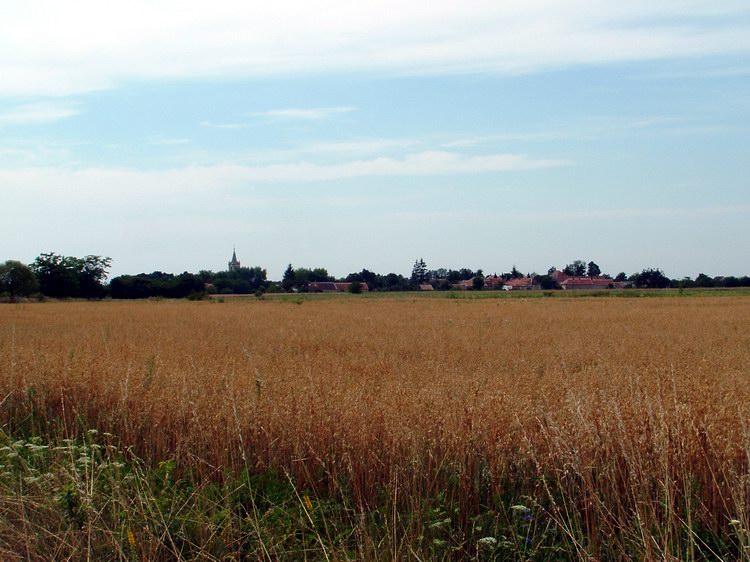 Távolban, a mezőkön túl feltűnt Bögöt