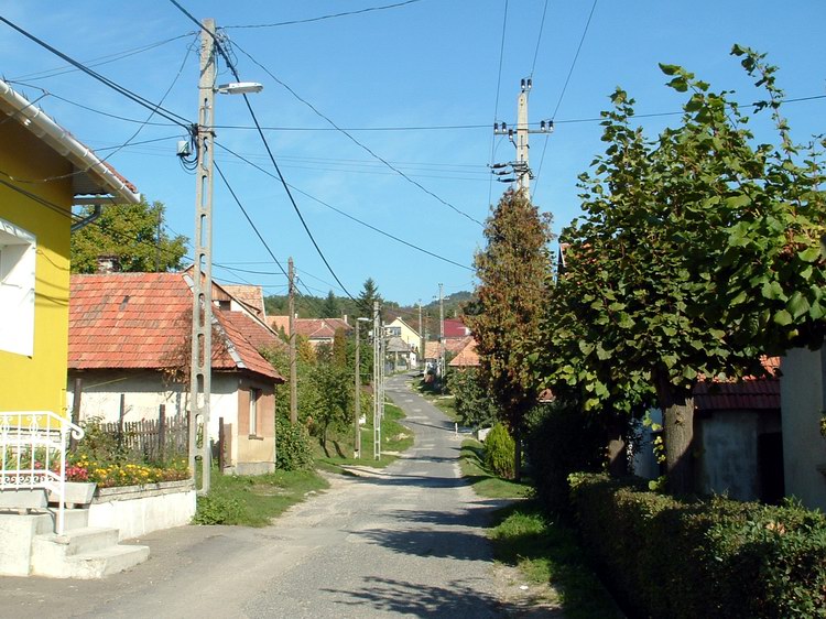 Pilisszentkereszt - Az erős kapaszkodó Dobogókő felé már a házak között elkezdődött