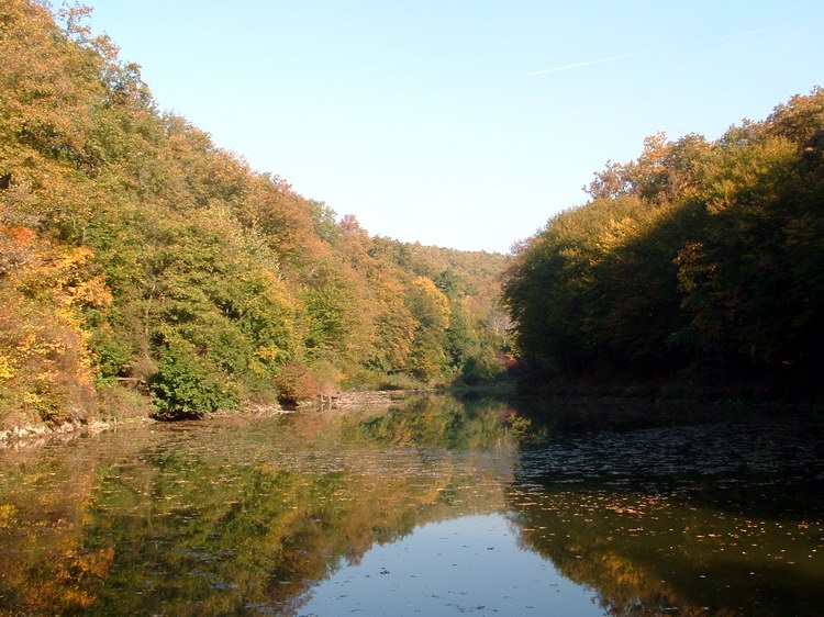 A törökmezői Halastó