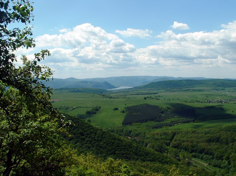 Kilátás a Dunakanyarra a Nagy-Kő-hegy csúcsáról