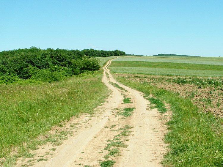 Mezők között kanyargó földúton