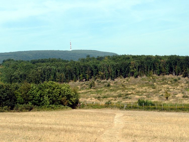 Kilátás a Gerecsére a Fábián-kő tetejéről Kilátás a Gerecsére a Fábián-kő tetejéről