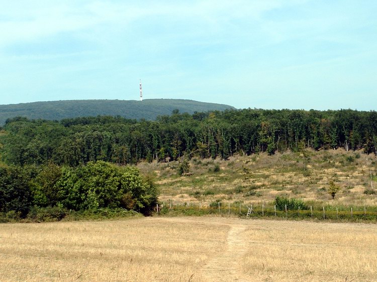 Kilátás a Gerecsére a Fábián-kő tetejéről