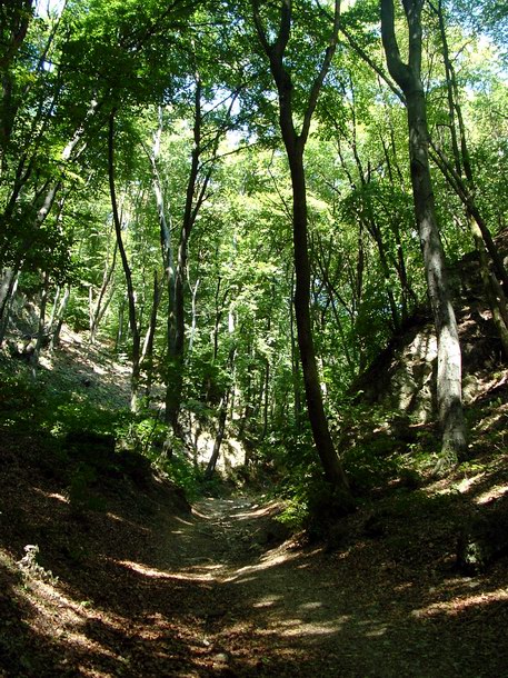 Erős kapaszkodó a Vár-völgyben a fennsík felé