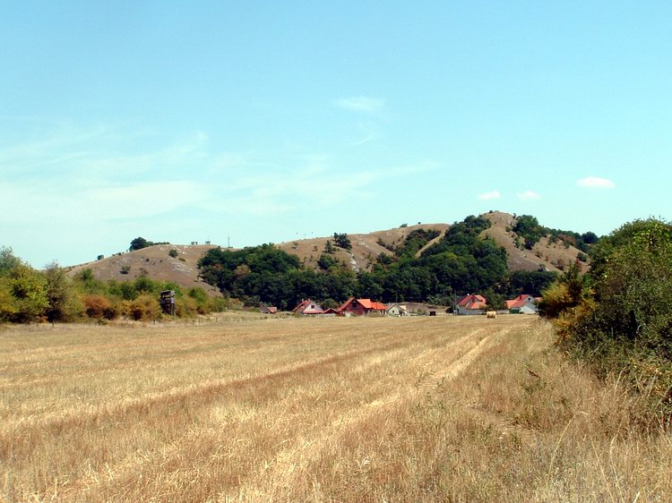 Gánt - A falu házai felett a Meleges kopár dombja látható