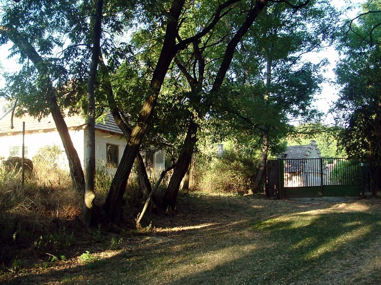 Mindszentpuszta Homestead