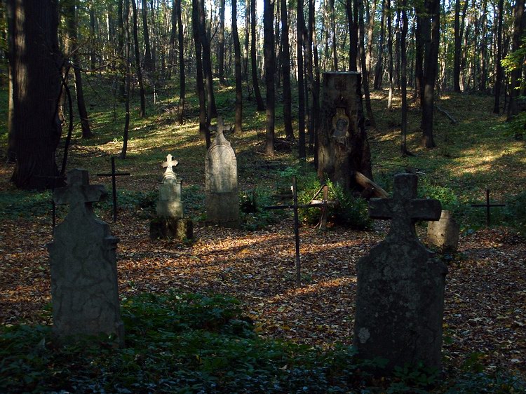 Körtvélyespuszta - Öreg temető a erdő fái között