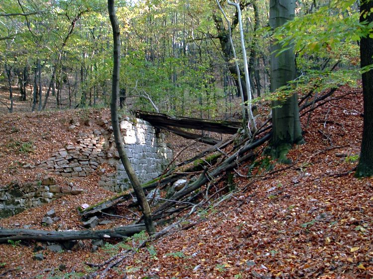 Gerecse - A már régen felszámolt kisvasút düledező hídja áll magában az erdőben