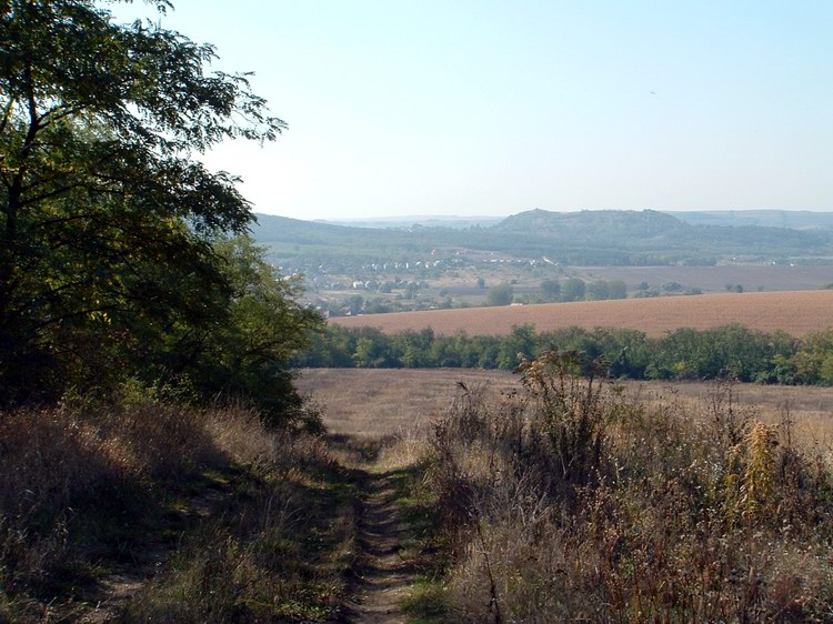 A Piliscsév feletti mezőkön. A távolban már látható a falu.