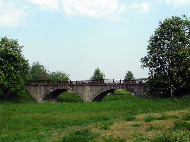Rába - Az ártéren álló öreg híd