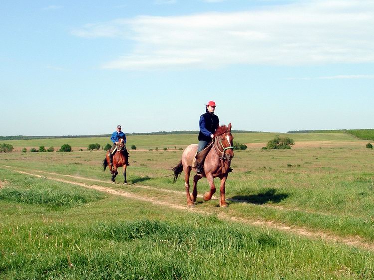 Lovasok a mezőkön Lovasok a mezőkön