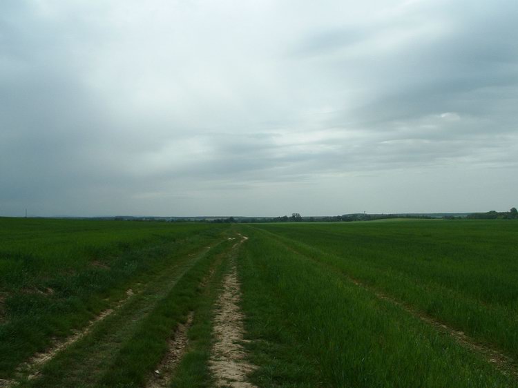 Elértem a Hosszúpereszteg előtti mezőket Elértem a Hosszúpereszteg előtti mezőket