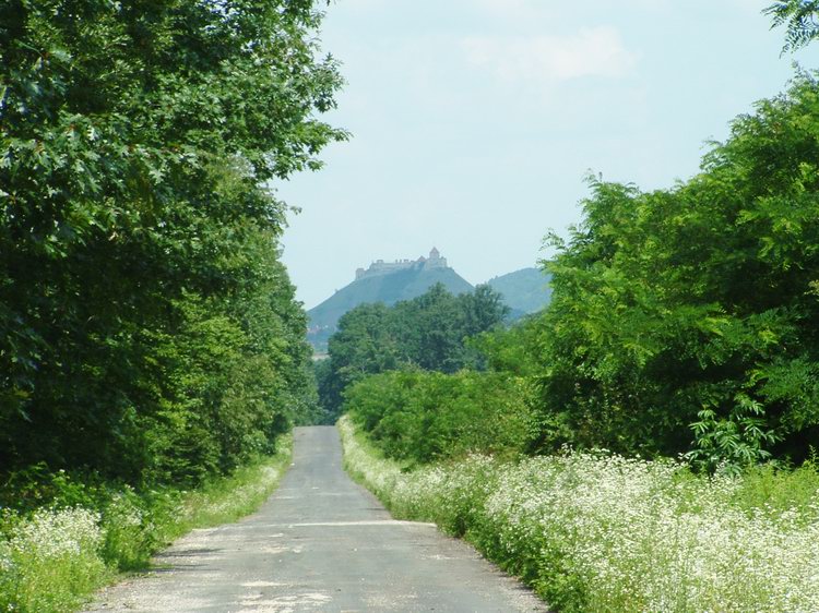 A Sarvaly erdészházakhoz vezető útról még mindíg látható a sümegi vár. A kép erős zoomal készült!