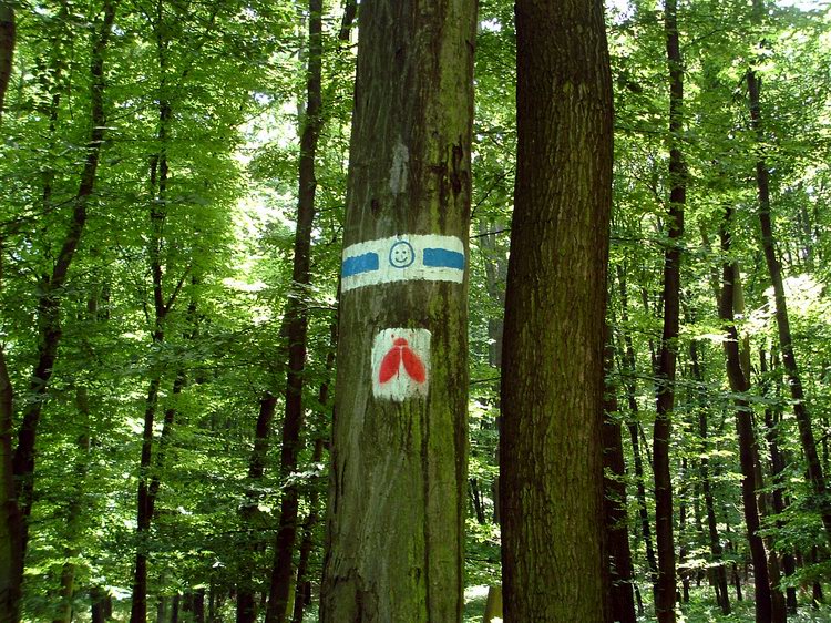 Kék sáv jelzés szmájlival - A kéktúrázás szépségére utal. Alatta a legyecske egy tanösvényt jelöl. Kék sáv jelzés szmájlival - A kéktúrázás szépségére utal. Alatta a legyecske egy tanösvényt jelöl.