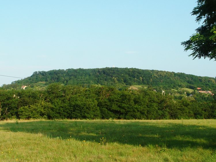 Zalaszántó - Kilátás a Szent Vendel kemping kapujától a Kovácsi-hegyre. A fák között látható a Sztúpa tornya is.