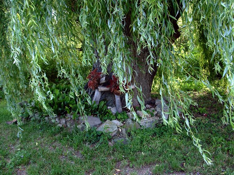 The graves of two outlaws. The Hungarian name of these outlaws were “betyár”