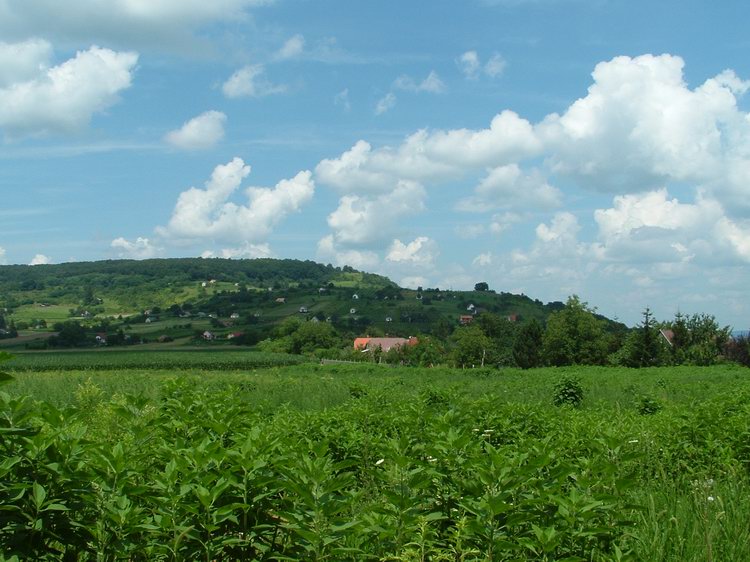 The Kő orra Hill. We will climb onto its shoulder