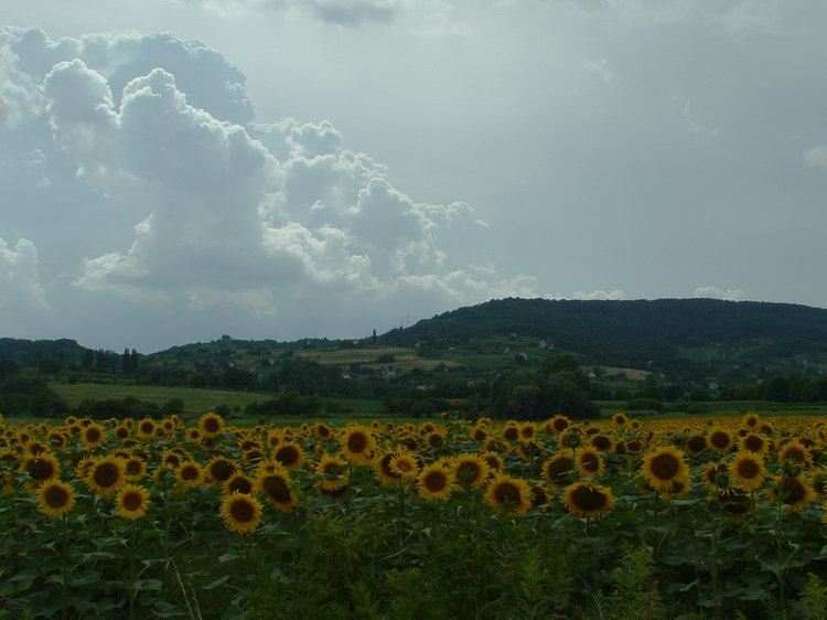 Az országútról visszatekintve már magasan tornyosulnak a felhők a Kő orra felett