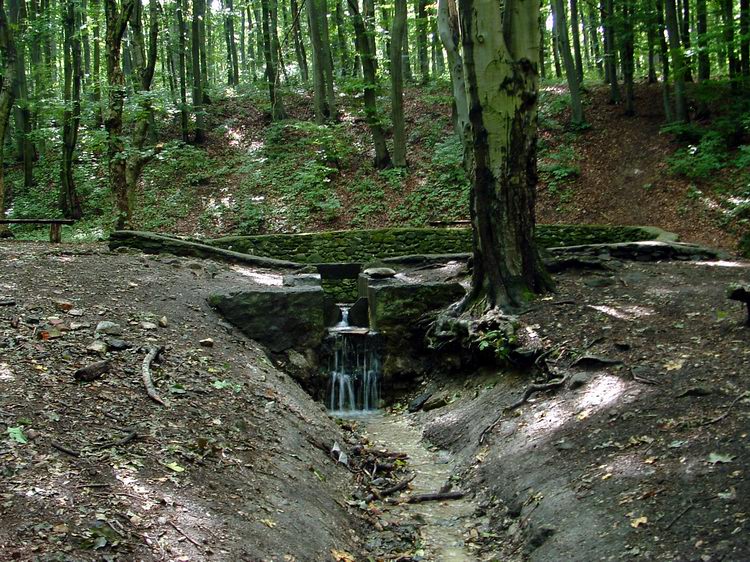 A kolostorromtól pár lépés csupán a Kinizsi-forrás