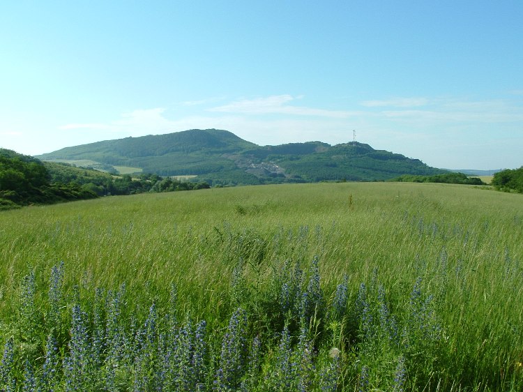 Kilátás a mezőről a Berceli-hegyre