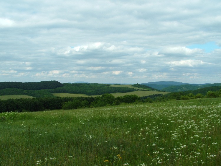Kilátás a mezőről a cserháti dombvilágra. Jobbra hátul a Tepke-gerinc, balra egészen a távolban már a Mátra csúcsai is láthatók.