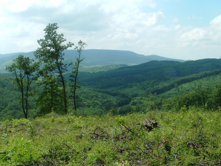 Visszatekintés a Szálláska-völgyre a gerincről