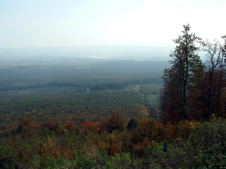 A párás idő miatt alig volt valami kilátás a hegytetőről