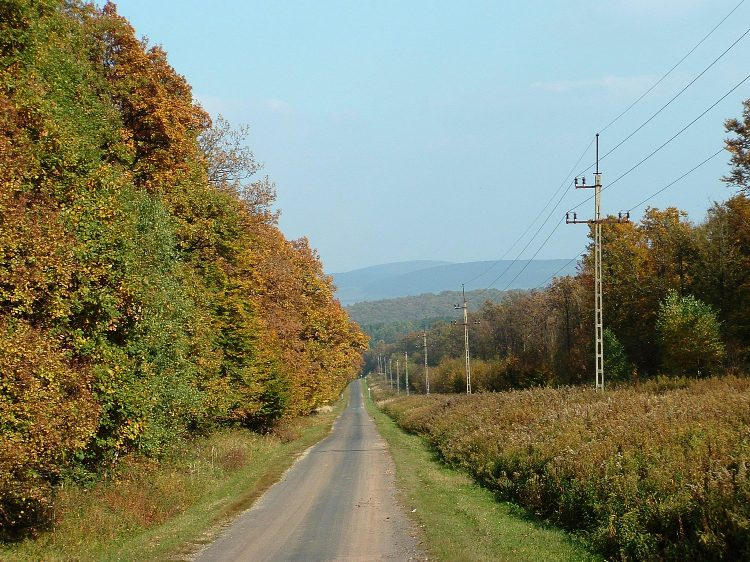 A keskeny aszfaltúton lefelé a Kab-hegyről